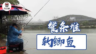 实战，看老曹怎么在餐条堆里钓鲫鱼!【户外老曹】