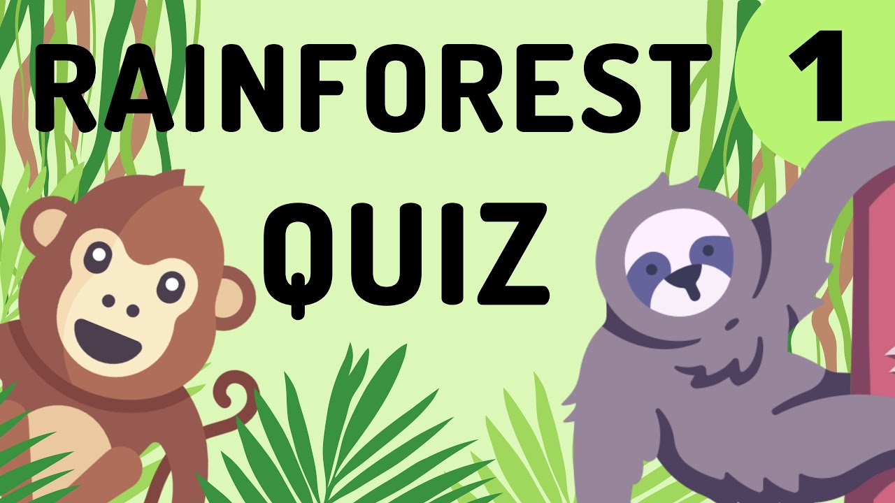 The Rainforest Quiz At Melissa Knop Blog