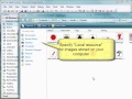 Label and ListBox Control