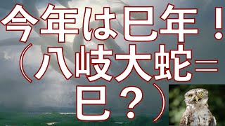 あらためまして、あけましておめでとうございます！　今年は巳年！　大祖始ピン刺しのランプが台湾の地方大会で活躍したらしいので、回していきます！　(大祖始=ヤマタノオロチ=蛇？？)