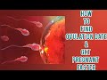 Find Your Ovulation Date By This Method|You Should Know Tiz When Planning Pregnancy