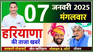 07 January 2025 Haryana News || हरियाणा की ताजा खबरें || Haryana Live News || CWB Hindi News