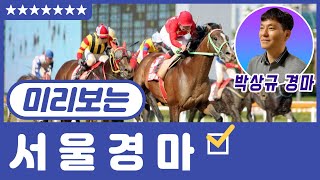 미리보는 서울 경마 12월28,29일, 관심마 8두