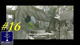 No 16 Let's Play RESIDENT EVIL 5. BIO HAZARD 5。 MrCedar31