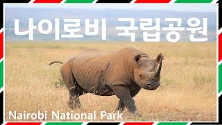 케냐 나이로비 국립공원 랜선 미니사파리여행🦁 / Nairobi National Park [ENG] 아프리카 케냐여행 #아향SA20.41