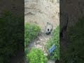 贵州大山里发现两个相邻天坑 就像双眼睛一样最深处两百多米 travel waterfall nature 旅行 drone