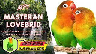 Audio masteran suara burung lovebird Ampuh  (  Terapi lovebird rilexsasi gemercik air mengalir )