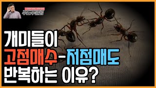 개미들이 고점매수 저점 매도를 반복하는 이유