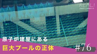 【浜岡原子力発電所の今／REAL!】なぜ原子炉建屋には巨大なプールがあるのか？ #76