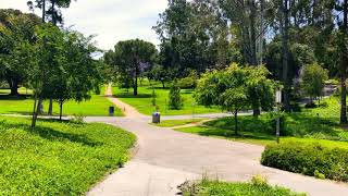 UC IRVINE CAMPUS TOUR - Ring Road to Science Library Walkthrough
