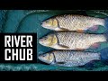 How to catch BIG river CHUB on the FLOAT using bread? Float fishing