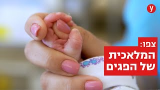 צפו: זה מה שקורה באמת מאחורי דלתות הפגייה