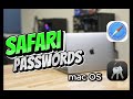 Accessing saved passwords in Safari (iCloud Keychain)