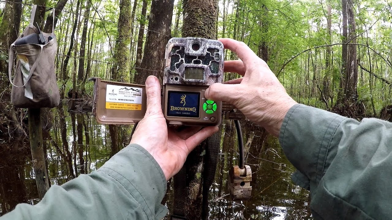 Browning Recon Force Swamp Camera Pickup Youtube