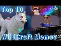 Top 10 Favourite WildCraft Memes Of 2022!!!