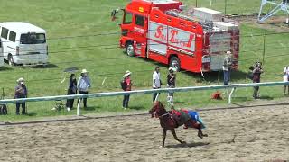 2022年7月24日。相馬野馬追甲冑競馬。第6レーススタート前に1頭放馬