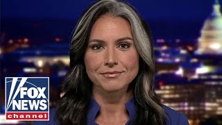 Tulsi Gabbard: This undermines the heart of our Democratic republic