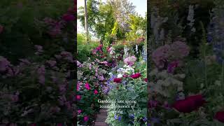 Flowers 🌺 Garden Beautiful view 🪟 || @Natural_Folwers #flowers #flower #rose #garden #plants