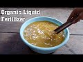 Best Organic Liquid Fertilizer : How to Make Organic Liquid Fertilizer with Mustard Cake