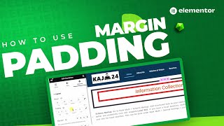How to Use Padding & Margin in Elementor