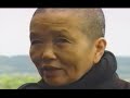 noel fox interviews thich nhat hanh 1997