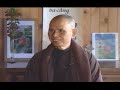 noel fox interviews thich nhat hanh 1997