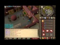2007 Animal Magnetism Guide