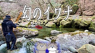 【解禁】竿凍る九州で幻の渓魚を追う！【渓流釣り】