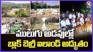 Minister Seethakka Visits Black Berry Island In Tadvai Reserve Forest  | Mulugu  | V6 News