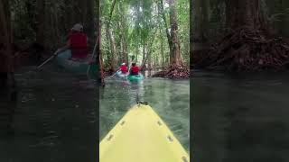 พายเรือคายัคที่คลองหรูด จ.กระบี่ ธรรมดาที่แสนวิเศษ