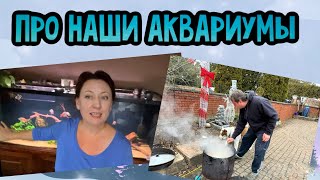 Жизнь в Канадской деревне// наши аквариумы, готовим плов