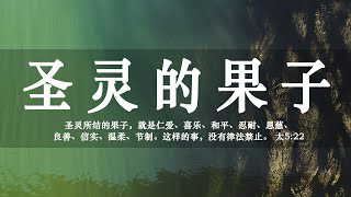 【睡前祷告】圣灵的果子 - 主啊，我们渴望结出圣灵的果子，求你帮助我们，让我们能够带着良善和温和的心对待别人。