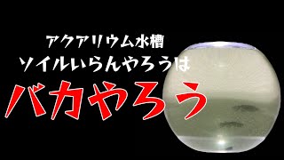 アクアリウム水槽ソイルの重要性について解説！！