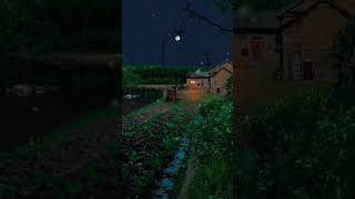 Beautiful Moon🌚🤎 ||Good Night Status|| Nature Whatsapp Status Video|| #moonlight#viralvideo#4k#viral