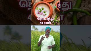 மாப்பிள்ளைக்கு கொடுக்கணும், மாப்பிள்ளை சம்பா அரிசி! #ricefarming  | #SaveSoil | #NaturalFarming