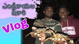 New vlog ఎండ్రికాయల షికారి  || village life || 3rd vlogs|| manawada creatings