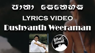 Pana Senehasa පානා සෙනෙහස - Dushyanth Weeraman Lyrics Video