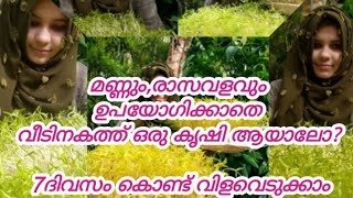 വിഷമില്ലാത്ത ഇലക്കറി കഴിക്കണോ? മണ്ണും വളവും ഉപയോഗിക്കാതെ വീടിനകത്തു ഉണ്ടാക്കാം || Microgreens