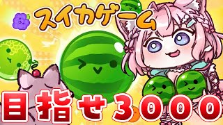 【スイカゲーム】目指せ3000点‼頭脳です頭脳～～～！！！🧠🔥【博衣こより/ホロライブ】