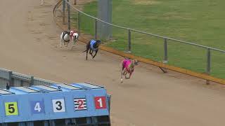 Gawler-03122019-Race-4