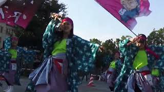 横浜よさこい祭り'22 ステージ 相模RANBU〇