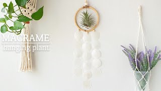 DIY | tillandsia hanging | 자개 틸란드시아 행잉 만들기 | 쉽게 만드는 소품 | 반려식물 인테리어 | 집꾸미기 | 에어 플랜트