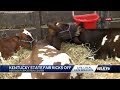 Kentucky State Fair kicks off with livestock competitions