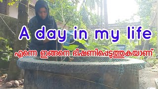 ഒരു റിക്വസ്റ്റ് ഉണ്ടേ🥰A day in my life 💞എപ്പോഴത്തെയും പോലെ എന്റെ ഒരു സാധാരണ ദിവസം#pachakavachakam