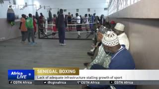 Senegal: Lack of adequate infrastructure stalling growth of boxing sport