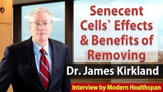 Senescent Cells Effect \u0026 Benefits of Removing | Dr James Kirkland Interview Series Ep 3