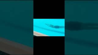 25m underwater #swimming  #underwater #water