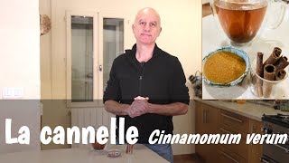La cannelle : perte de poids, état grippal, règles douloureuses, glycémie élevée