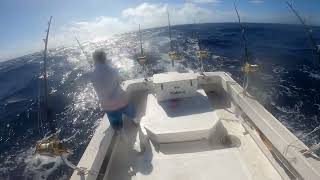 SHIBI 1ST STRIKE AHI YELLOWFIN TUNA KANEOHE HAWAII OUTSIDE U BUOY BIG GAME FISHING TROLLING 9/13/24