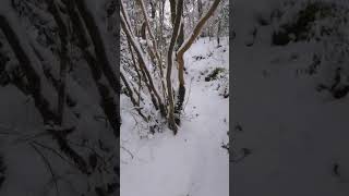 2025.1.12 Mt.Kyoga Saga Japan #nature